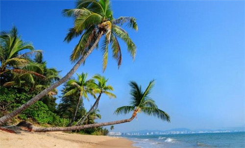 赵国荣鳝鱼火锅