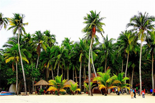 植物护肤店加盟费多少，纯植物护肤品加盟店