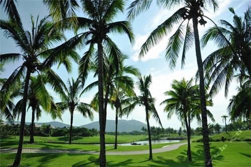 一锅倾城石锅鱼火锅三线城市可以加盟吗